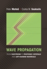 Wave Propagation : From Electrons to Photonic Crystals and Left-Handed Materials - eBook