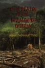 In the Realm of the Diamond Queen : Marginality in an Out-of-the-Way Place - eBook