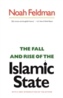 The Fall and Rise of the Islamic State - eBook