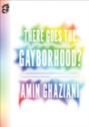 There Goes the Gayborhood? - eBook