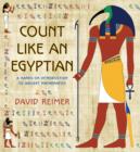 Count Like an Egyptian : A Hands-on Introduction to Ancient Mathematics - eBook