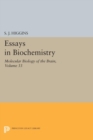 Essays in Biochemistry, Volume 33 : Molecular Biology of the Brain - eBook
