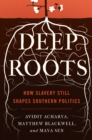 Deep Roots : How Slavery Still Shapes Southern Politics - eBook