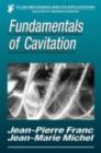 Fundamentals of Cavitation - eBook