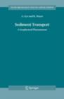 Sediment Transport : A Geophysical Phenomenon - eBook