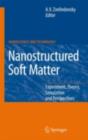 Nanostructured Soft Matter : Experiment, Theory, Simulation and Perspectives - eBook