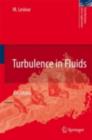 Turbulence in Fluids - eBook