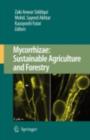 Mycorrhizae: Sustainable Agriculture and Forestry - eBook