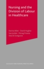 Nursing and the Division of Labour in Healthcare - eBook