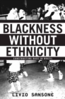 Blackness Without Ethnicity : Constructing Race in Brazil - eBook