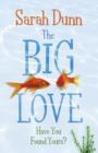 The Big Love - eBook