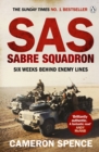 Sabre Squadron - Book