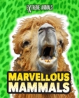 Marvellous Mammals - eBook