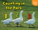 Counting at the Park - eBook