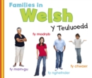 Families in Welsh: Y Teuluoedd - eBook