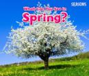 What Can You See In Spring? - Book