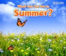 What Can You See In Summer? - Book