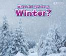 What Can You See In Winter? - Book