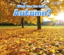 What Can You See In Autumn? - eBook