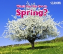 What Can You See In Spring? - eBook