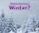 What Can You See In Winter? - eBook