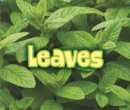 All About Leaves - eBook