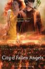 The Mortal Instruments 4: City of Fallen Angels - eBook