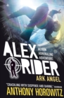 Ark Angel - Book