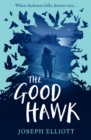 The Good Hawk (Shadow Skye, Book One) - eBook
