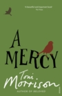 A Mercy - eBook