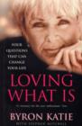 Loving What Is : Four Questions That Can Change Your Life - eBook