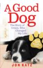 A Good Dog : The Story of Orson, Who Changed My Life - eBook