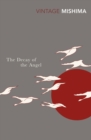 The Decay Of The Angel - eBook