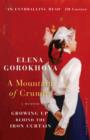 A Mountain of Crumbs : Growing Up Behind the Iron Curtain - eBook