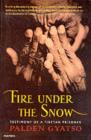 Fire Under The Snow - eBook