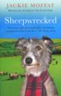 Sheepwrecked - eBook
