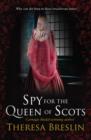 Spy for the Queen of Scots - eBook