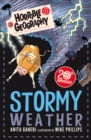 Stormy Weather - Book