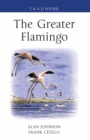 The Greater Flamingo - eBook