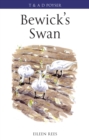 Bewick's Swan - eBook
