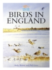 Birds in England - eBook