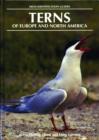 Terns of Europe and North America - eBook