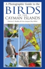 A Photographic Guide to the Birds of the Cayman Islands - eBook