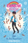 Jae the Boy Band Fairy - eBook