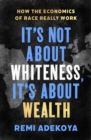 It's Not About Whiteness, It's About Wealth : How the Economics of Race Really Work - Book