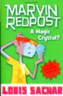 A Magic Crystal? - Book