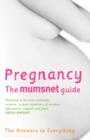 Pregnancy: The Mumsnet Guide : The Answers to Everything - eBook
