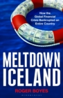 Meltdown Iceland : How the Global Financial Crisis Bankupted an Entire Country - eBook