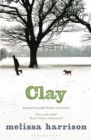 Clay - eBook