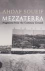 Mezzaterra : Fragments from the Common Ground - eBook